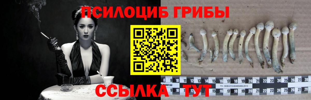Братск  Галлюциногенные грибы MAGIC MUSHROOMS  Вход с VPN 